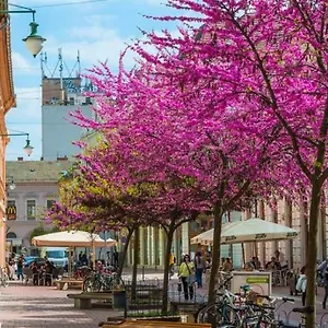 Apartman Downtown Dream Apartmans Szeged